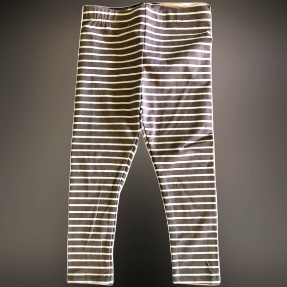 NWT/Plastic wrapped 3 pc pink coat/legging/ruffle puppy shirt. Great 4 fall! - Picture 2 of 5